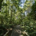 Reserva Nacional Río Simpson. Créditos: Benjamín Valenzuela