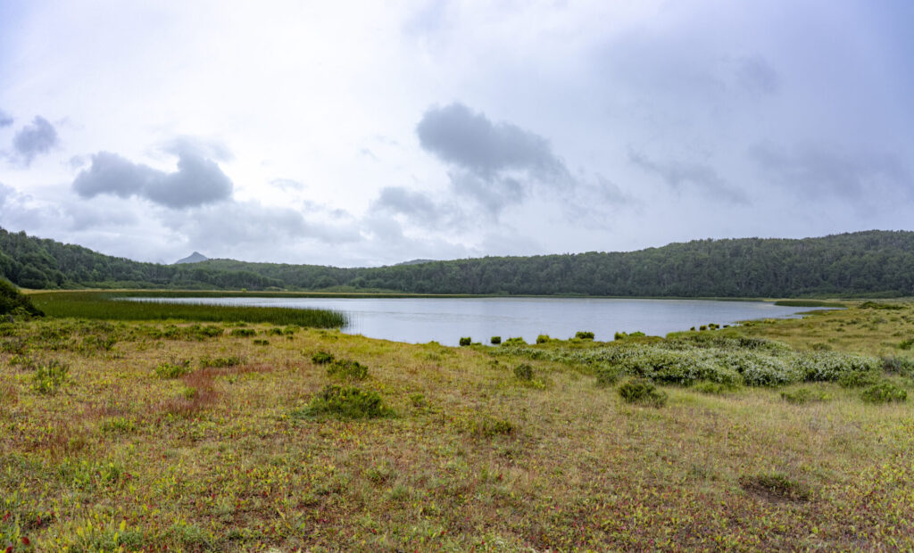 Reserva Nacional Trapananda. Créditos: Benjamín Valenzuela
