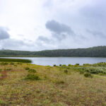 Reserva Nacional Trapananda. Créditos: Benjamín Valenzuela