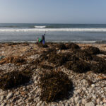 Reserva de Paracas, foto de Sebastián Castañeda