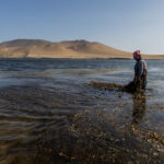 Reserva de Paracas, foto de Sebastián Castañeda