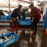 Reserva de Paracas, foto de Sebastián Castañeda