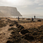 Reserva de Paracas, foto de Sebastián Castañeda