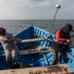 Reserva de Paracas, foto de Sebastián Castañeda