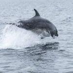 Reserva Nacional Las Guaitecas. Créditos: Benjamín Valenzuela