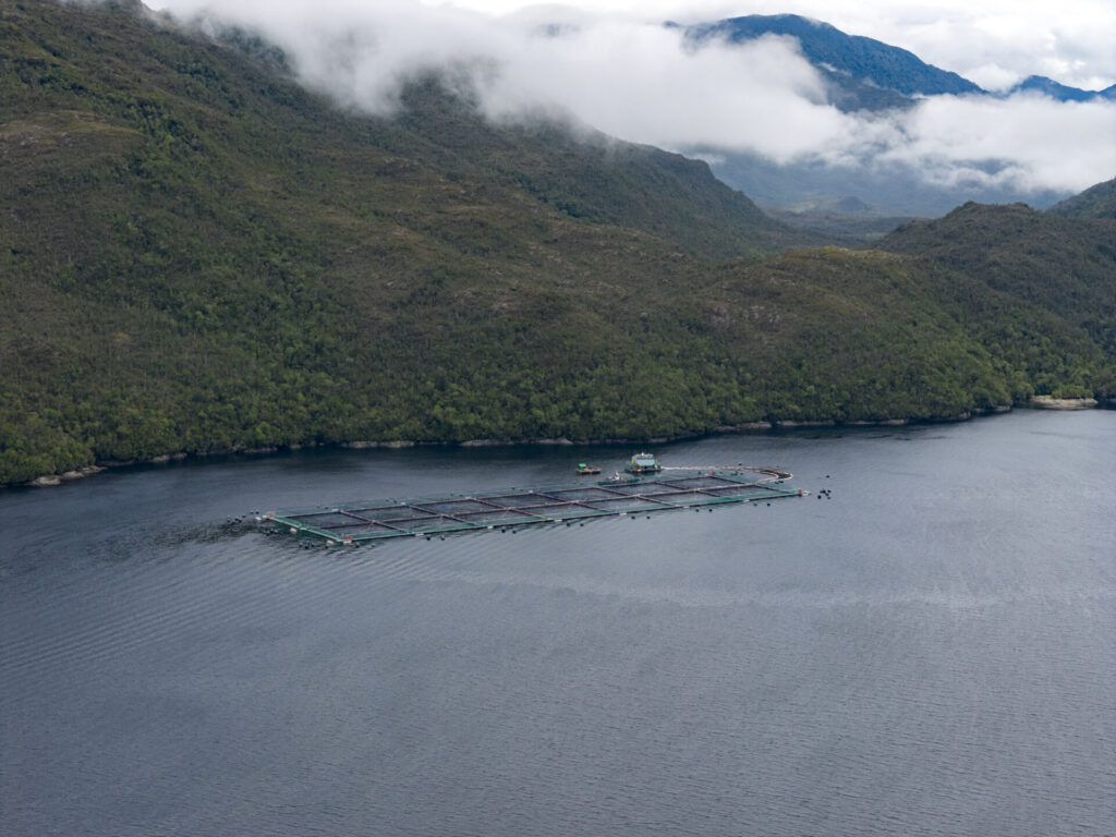 Reserva Nacional Las Guaitecas. Créditos: Benjamín Valenzuela