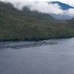 Reserva Nacional Las Guaitecas. Créditos: Benjamín Valenzuela