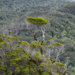 Reserva Nacional Las Guaitecas. Créditos: Benjamín Valenzuela