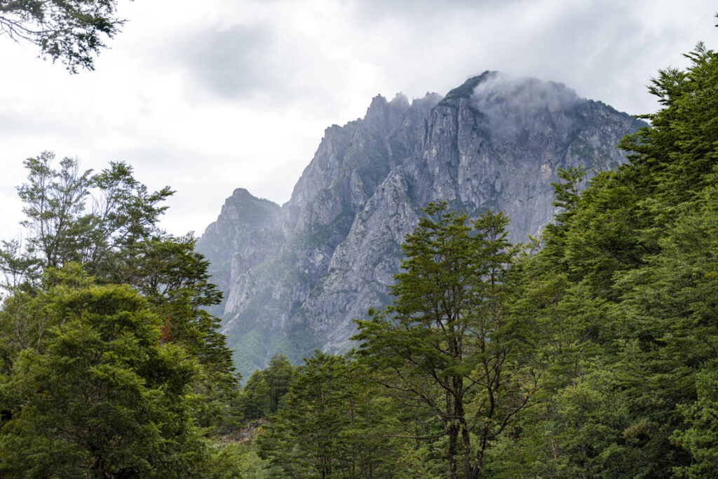 Reserva Nacional Lago Las Torres. Créditos: Benjamín Valenzuela