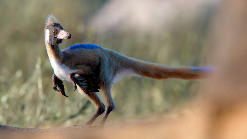 Un fósil patagónico de 95 millones de años reescribe la historia evolutiva de un enigmático grupo de dinosaurios en Argentina