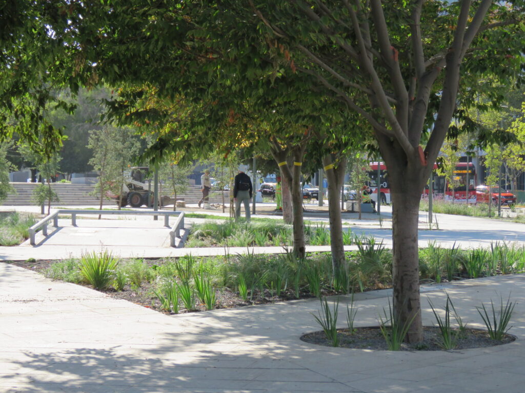 Biodiversidad en nuevas áreas verdes de Plaza Baquedano. Créditos (CC-BY): Jǒzepa Benčina.