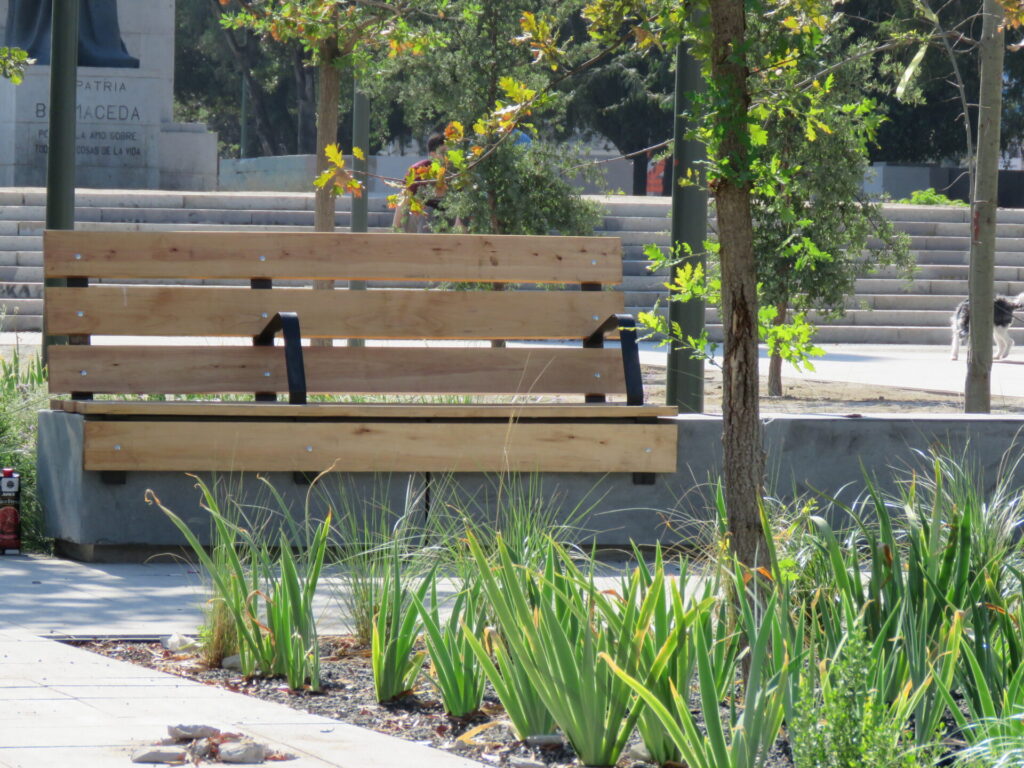 Biodiversidad en nuevas áreas verdes de Plaza Baquedano. Créditos (CC-BY): Jǒzepa Benčina.