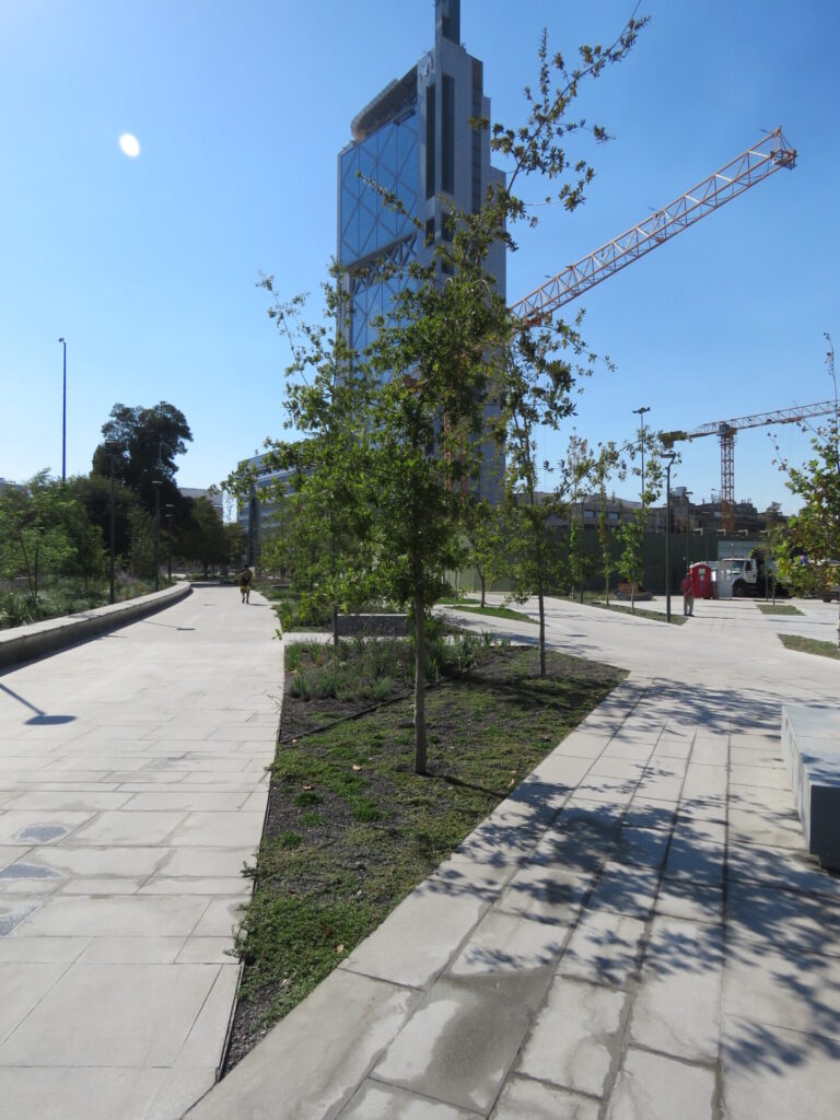 Biodiversidad en nuevas áreas verdes de Plaza Baquedano. Créditos (CC-BY): Jǒzepa Benčina.