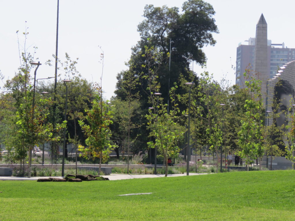 Biodiversidad en nuevas áreas verdes de Plaza Baquedano. Créditos (CC-BY): Jǒzepa Benčina.