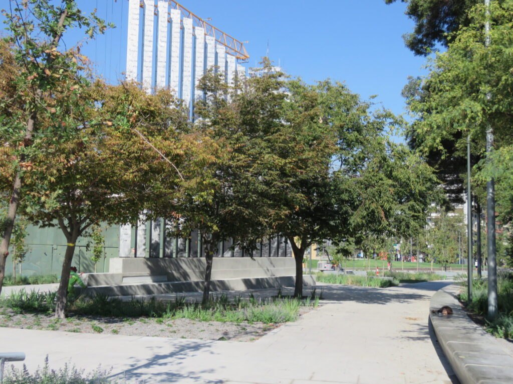Biodiversidad en nuevas áreas verdes de Plaza Baquedano. Créditos (CC-BY): Jǒzepa Benčina.