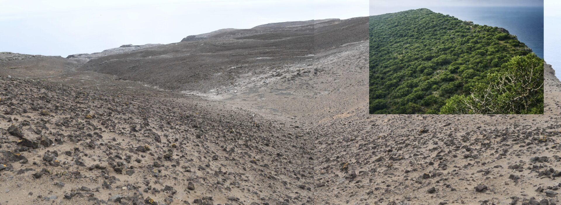 Archipiélago de las Desventuradas: Nueva expedición busca proteger especies únicas en uno de los ecosistemas más aislados de Chile