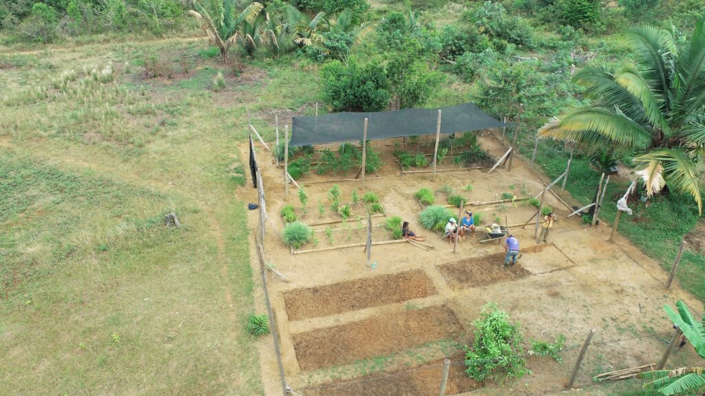 El jardín O’KO PAK’O nació hace cuatro años para poner las plantas medicinales al alcance de la comunidad. Foto: cortesía Luis Fernando Jaramillo.