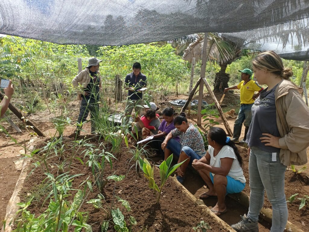 O’KO PAK’O —“Madre de medicina”— es un jardín comunitario de plantas medicinales de la Amazonía colombiana. Foto: cortesía Luis Fernando Jaramillo.