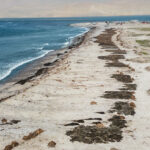 Reserva de Paracas, foto de Sebastián Castañeda