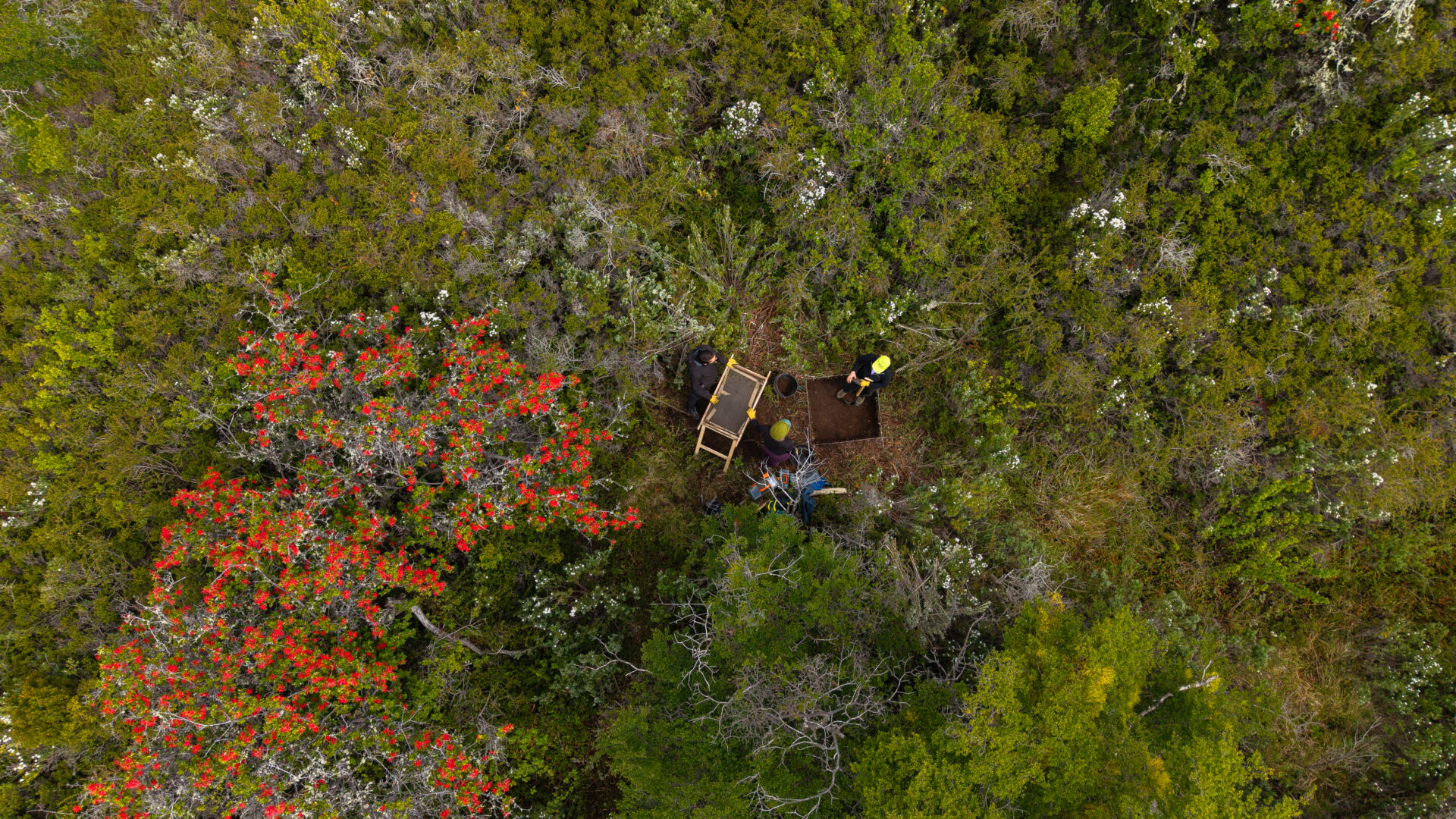 ¡Se revela la historia tras 440 años! Moneda enterrada en 1584 confirma el sitio exacto de la fundación de Puerto del Hambre en Magallanes
