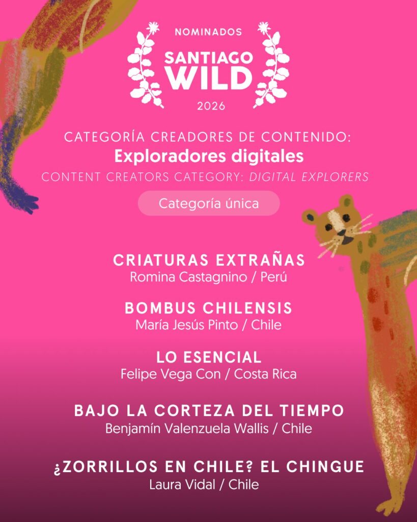 Santiago Wild