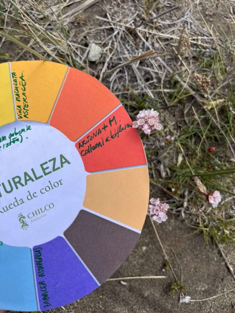 Foto cortesía Rewilding Chile