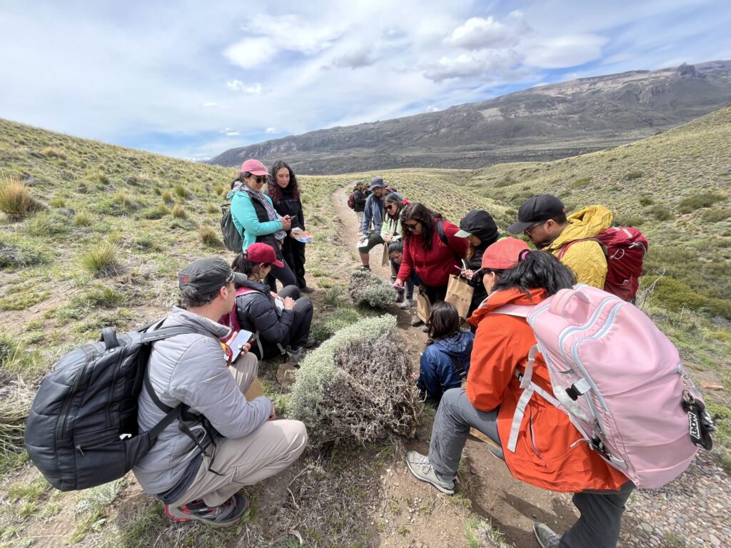 Foto cortesía Rewilding Chile