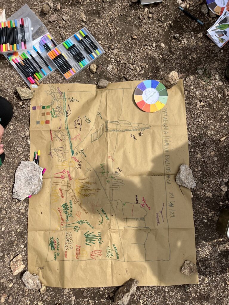 Foto cortesía Rewilding Chile