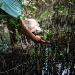 Guatemala-Foto-Emmanuel-Andres