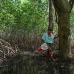 Guatemala-Foto-Emmanuel-Andres