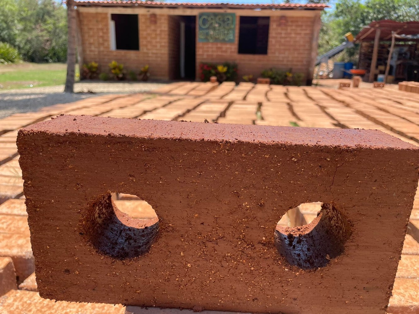 Mexicano transforma sargazo en bloques para construcción con innovador proyecto