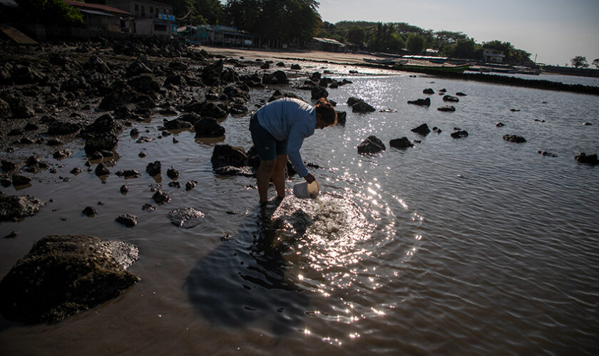 Mujeres del mar: Las pescadoras de América Latina que sostienen la pesca y defienden los ecosistemas