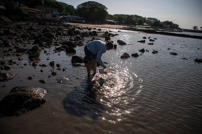 Mujeres del mar: Las pescadoras de América Latina que sostienen la pesca y defienden los ecosistemas | Reportaje fotográfico
