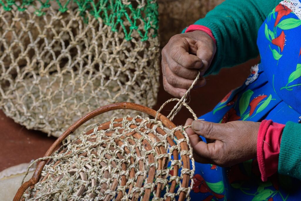 La tradición mapuche de tejer pilwas con fibras vegetales de chupón, Isla Hualpi. Créditos: Pilwas del budi @pilwas_del_budi