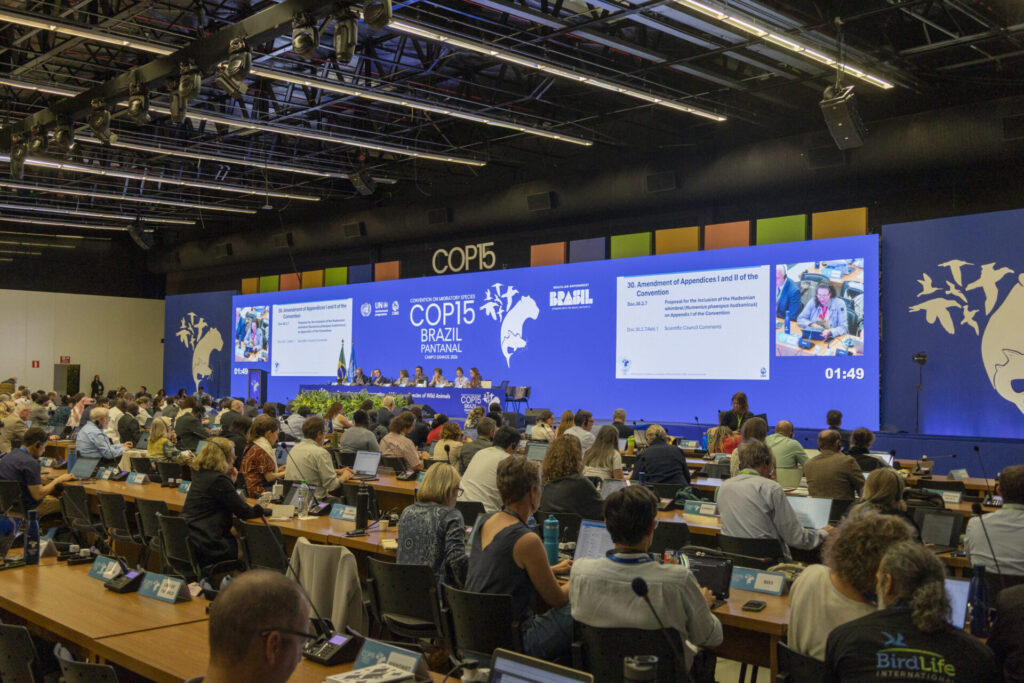 Pleno COP25, foto Diego Luna