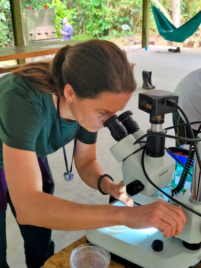 Registro residencias Fungi Cosmology. Foto por María Luisa Murillo 