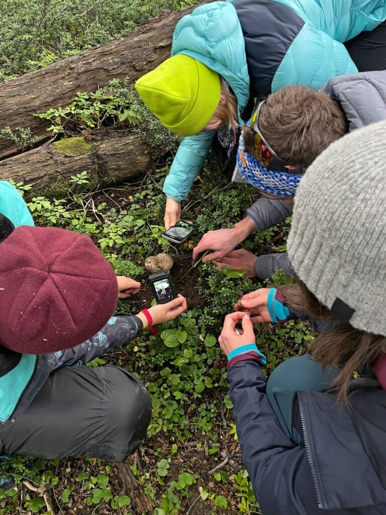 Registro residencias Fungi Cosmology. Foto por María Luisa Murillo 