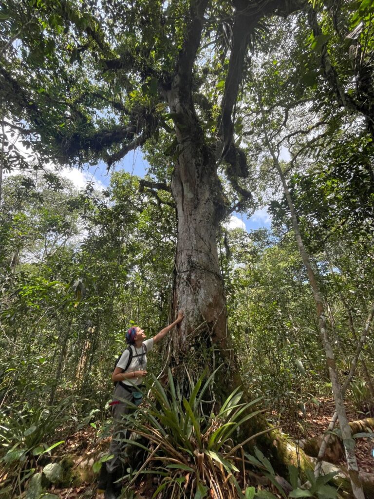 Registro residencias Fungi Cosmology. Foto por María Luisa Murillo 