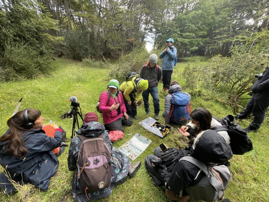 Registro residencias Fungi Cosmology. Foto por María Luisa Murillo 