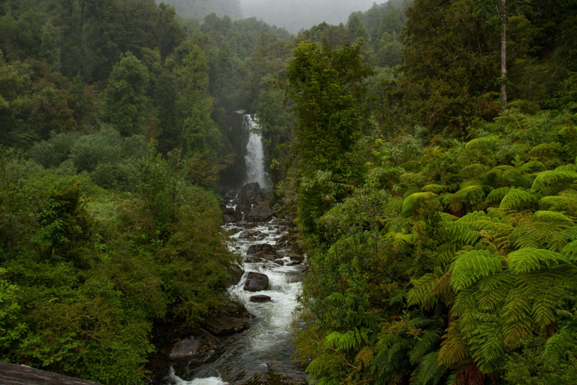 17 parques en 11,8 millones de hectáreas: El desafío de construir la ruta de naturaleza más importante del mundo en la Patagonia chilena