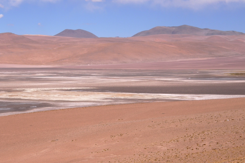 Más de 184 mil hectáreas: Aprueban la creación de seis parques nacionales para conservar salares del altiplano