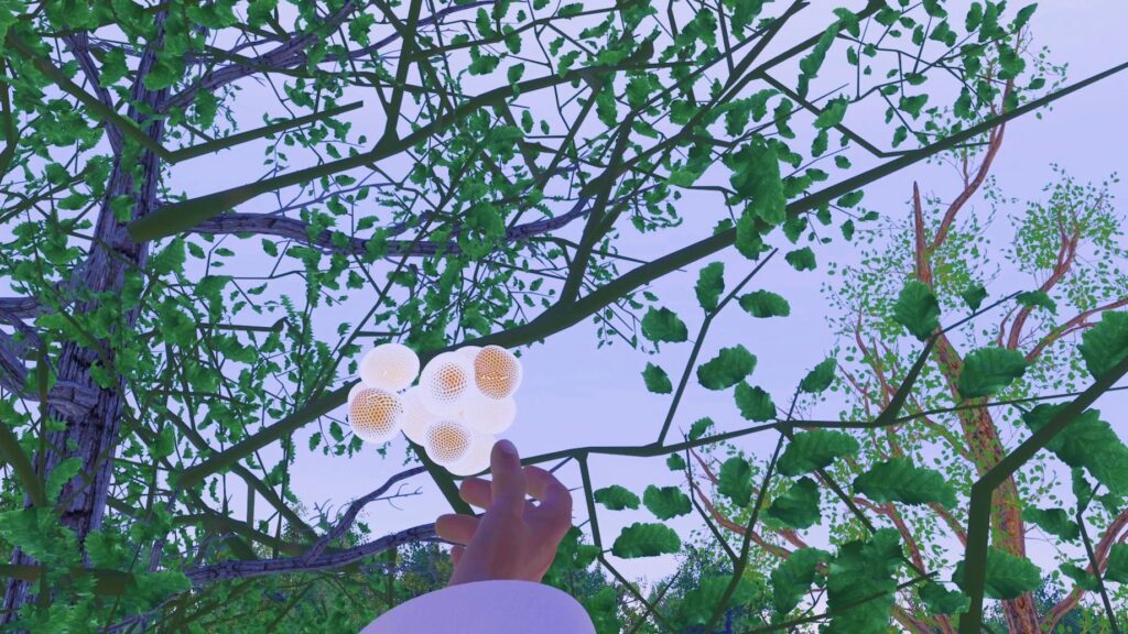 Representación 3d de los hongos