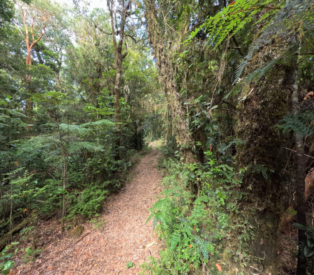 Travesía de 11 kilómetros hacia Caleta Huellelhue, Región de Los Lagos. Créditos: ©Proyecto GEF Incentivos para la Conservación y Centro de Pesca Sustentable