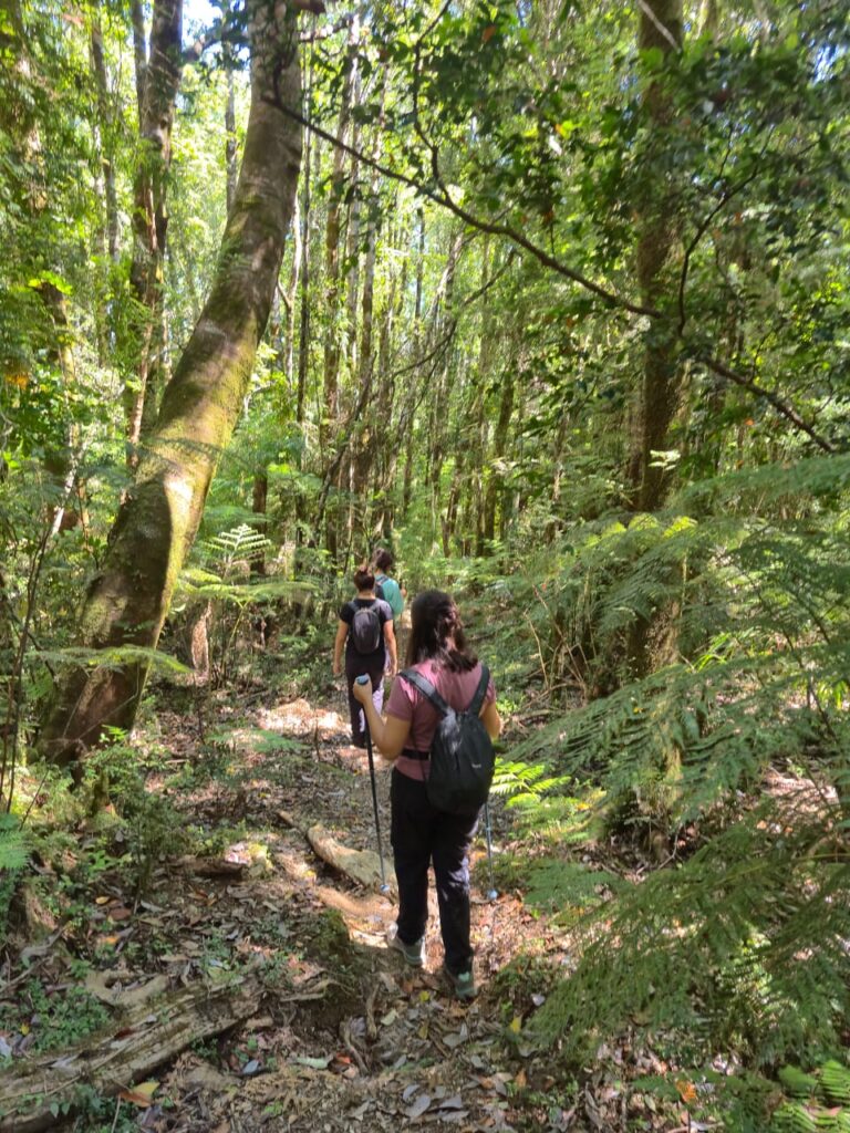 Travesía de 11 kilómetros hacia Caleta Huellelhue, Región de Los Lagos. Créditos: ©Proyecto GEF Incentivos para la Conservación y Centro de Pesca Sustentable