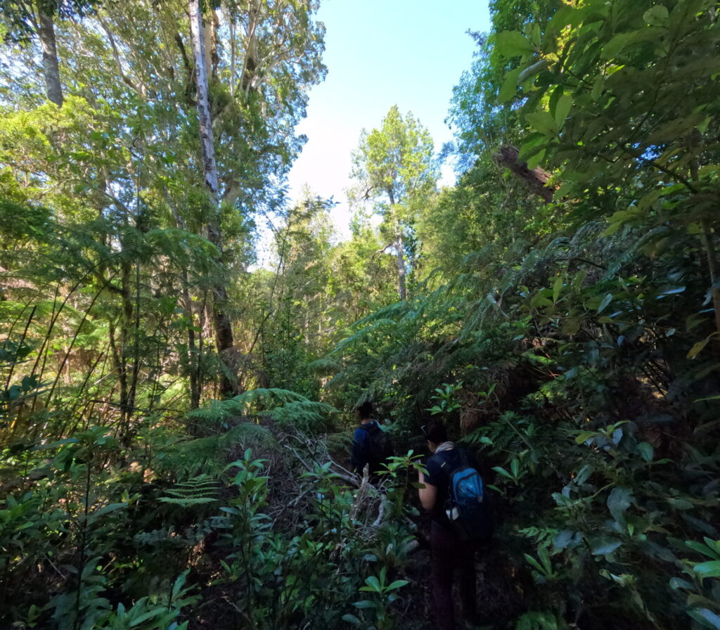 Travesía de 11 kilómetros hacia Caleta Huellelhue, Región de Los Lagos. Créditos: ©Proyecto GEF Incentivos para la Conservación y Centro de Pesca Sustentable