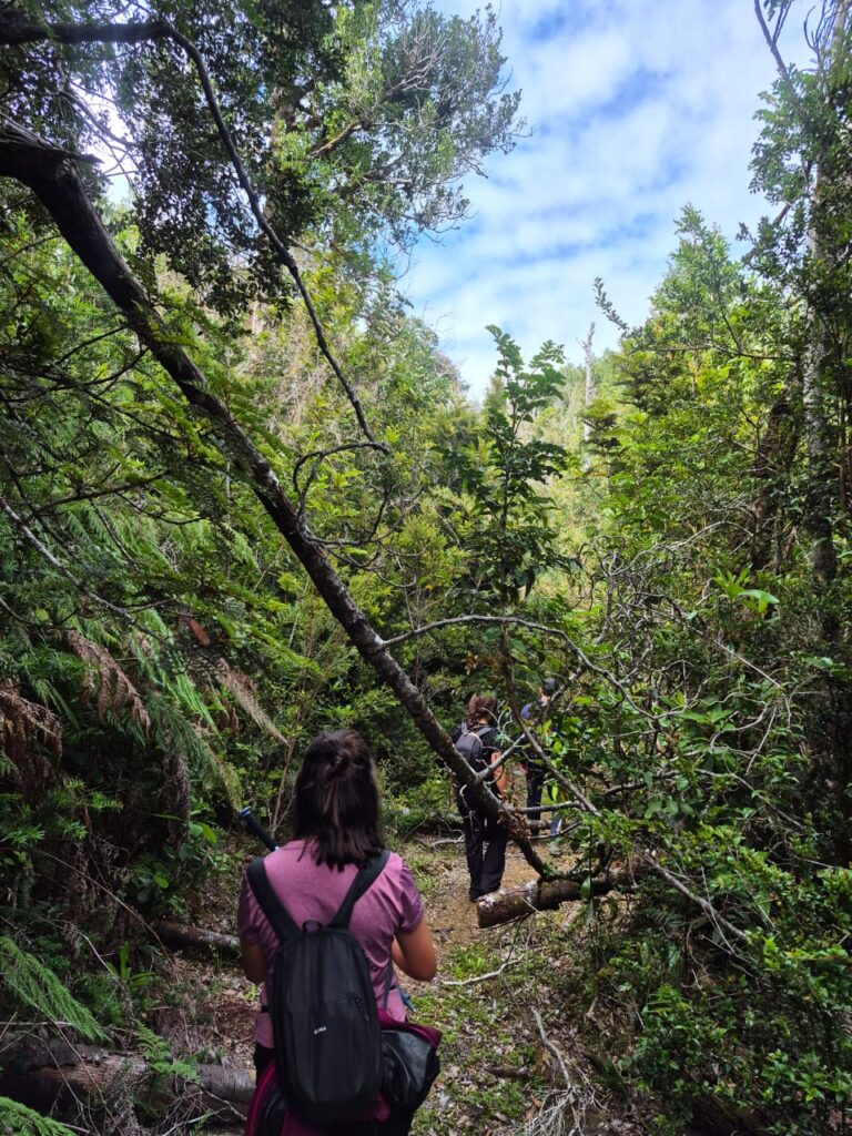 Travesía de 11 kilómetros hacia Caleta Huellelhue, Región de Los Lagos. Créditos: ©Proyecto GEF Incentivos para la Conservación y Centro de Pesca Sustentable