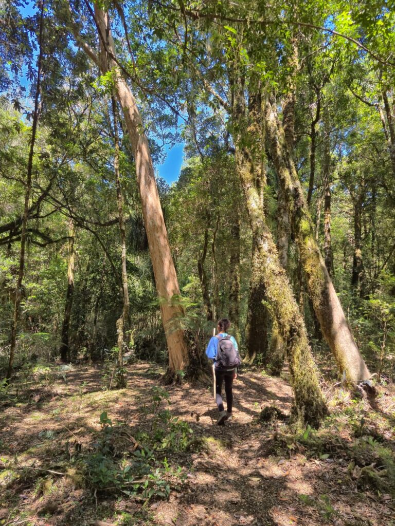 Travesía de 11 kilómetros hacia Caleta Huellelhue, Región de Los Lagos. Créditos: ©Proyecto GEF Incentivos para la Conservación y Centro de Pesca Sustentable
