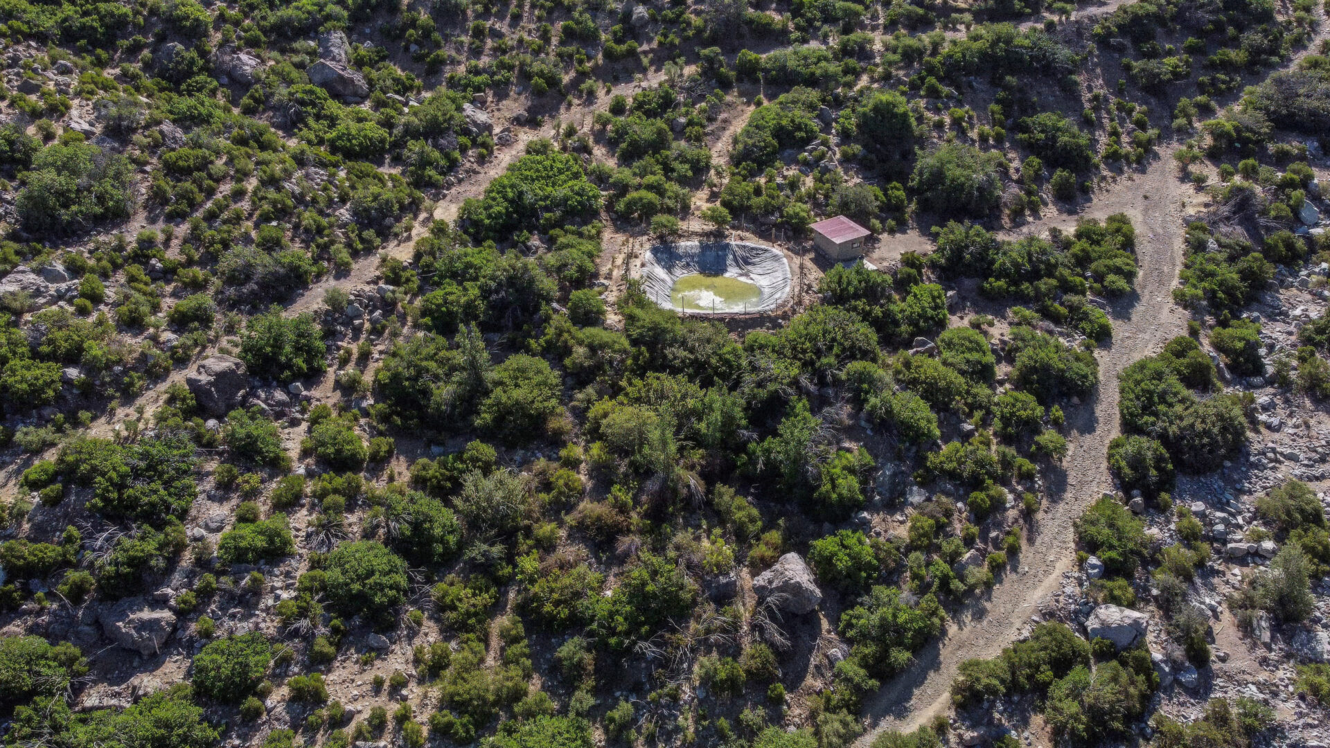 Del Valle del Aconcagua al Cordón Peñewe: cuatro áreas de conservación impulsadas por comunidades