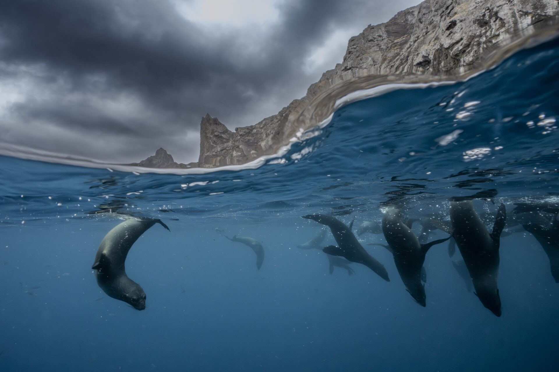 Sylvia Earle vuelve a Juan Fernández, en medio de visita presidencial: Boric se compromete a la ampliación de los parques marinos del archipiélago