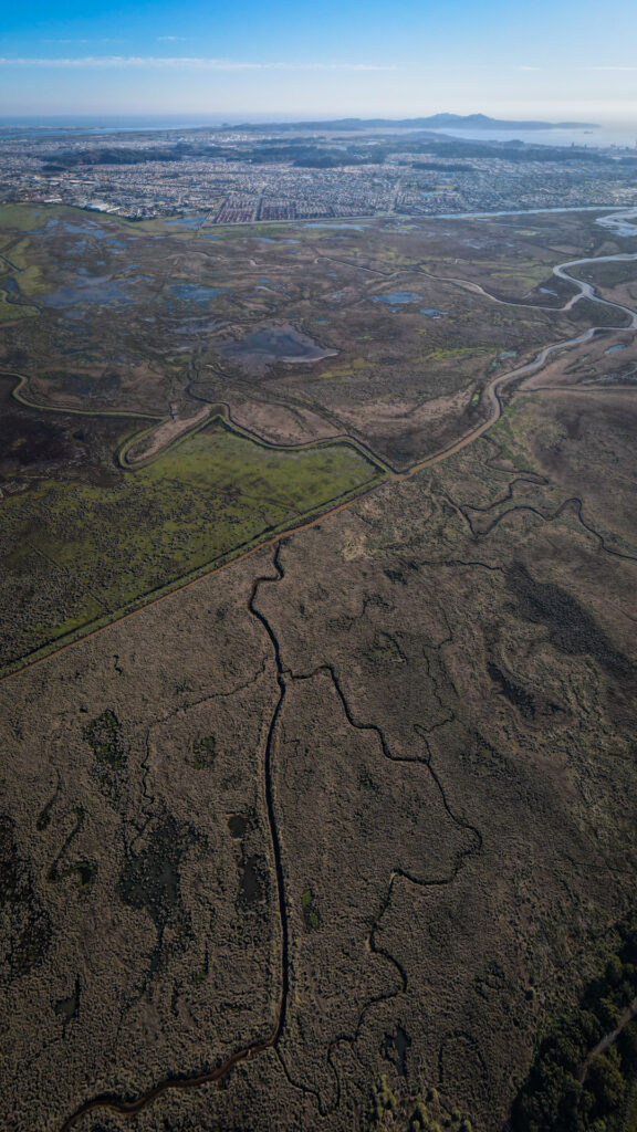 Vista aérea del humedal